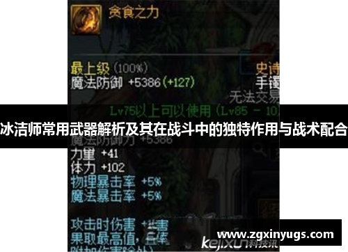 冰洁师常用武器解析及其在战斗中的独特作用与战术配合
